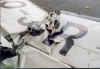 Wing one.jpg (29907 Byte)