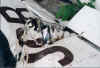 Wing two.jpg (28884 Byte)